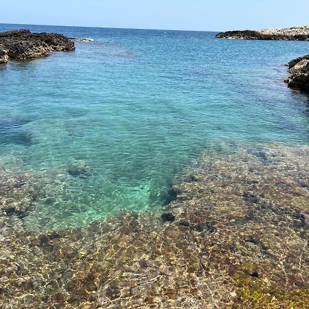 Eagle'S Nest Villa Polignano a Mare Dış mekan fotoğraf