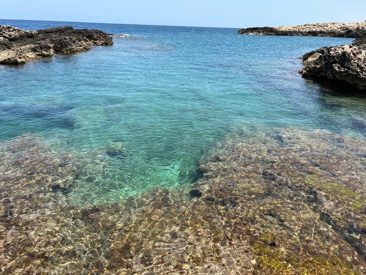 Eagle'S Nest Villa Polignano a Mare Dış mekan fotoğraf