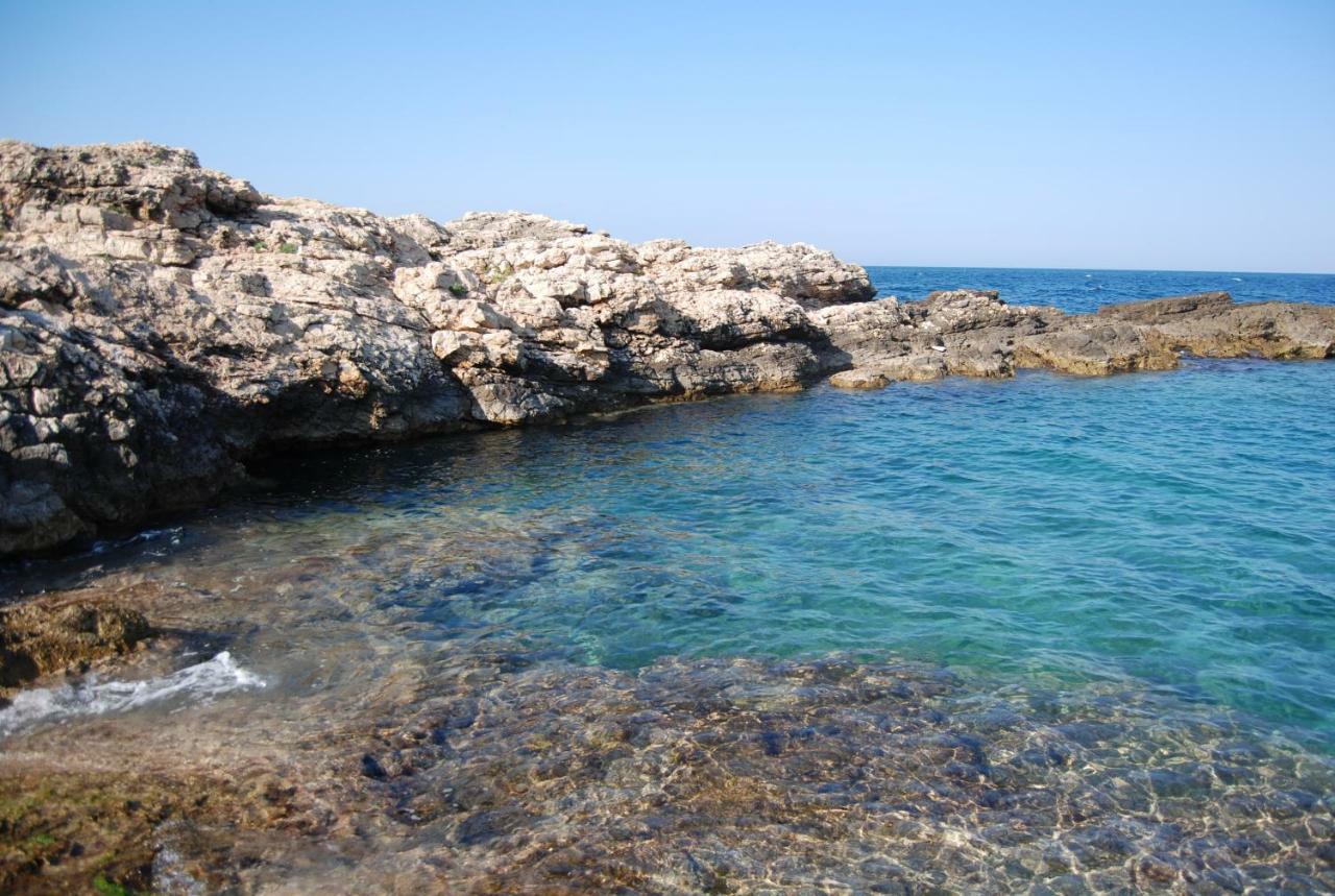 Eagle'S Nest Villa Polignano a Mare Dış mekan fotoğraf